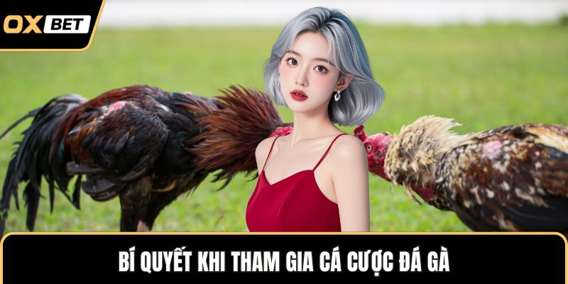 Bí quyết khi tham gia cá cược đá gà