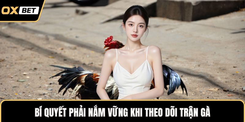 Bí quyết phải nắm vững khi theo dõi trận gà