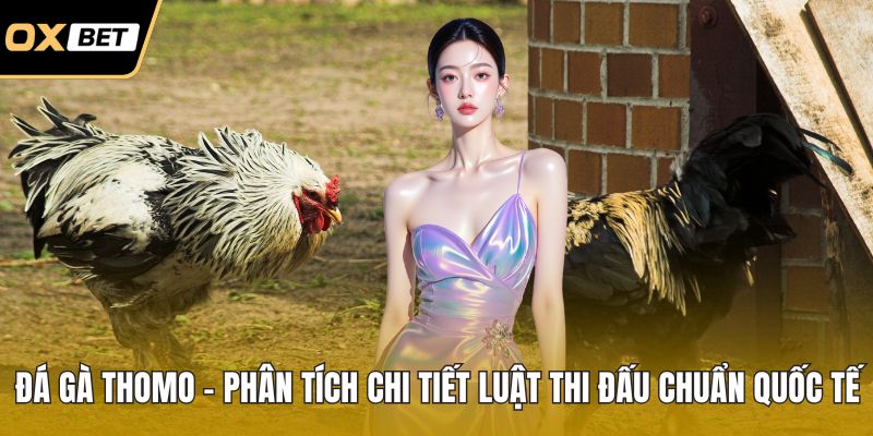 Đá gà Thomo